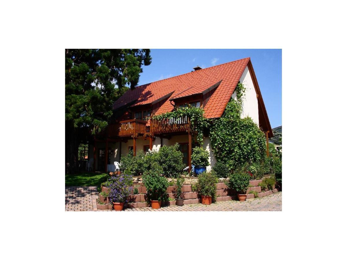 Gaestehaus Hellmer Neustadt an der Weinstraße Exteriér fotografie